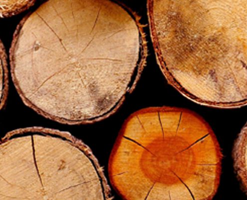 backwinkel-blog-naturprodukt-holz-heroimage