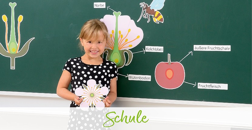 bwk-blog-startseite-kategoriebild-schule_neu