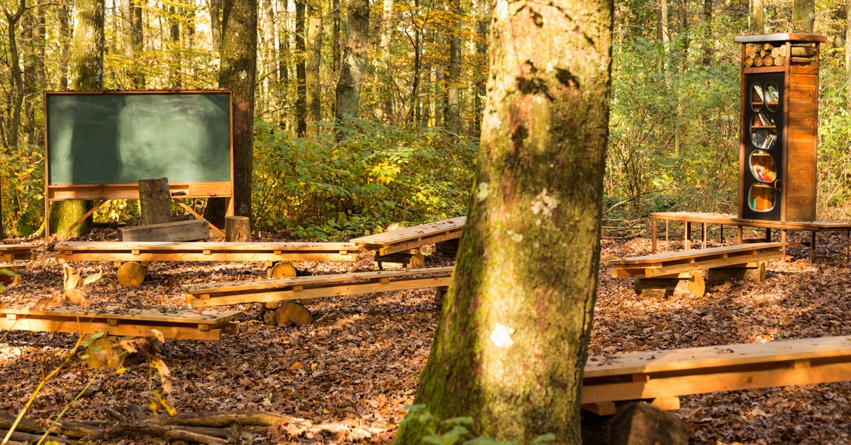 backwinkel-blog-das-gruene-klassenzimmer-heroimage