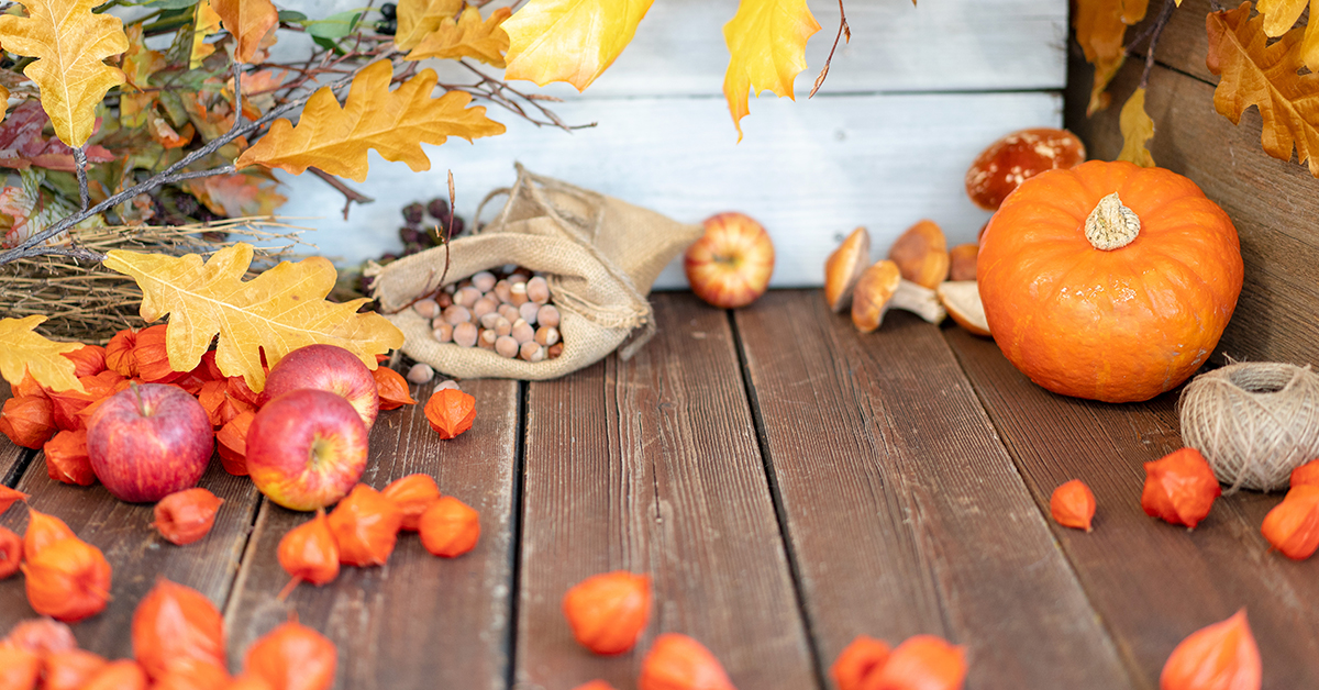 backwinkel-blog-erntedank-schule-heroimage