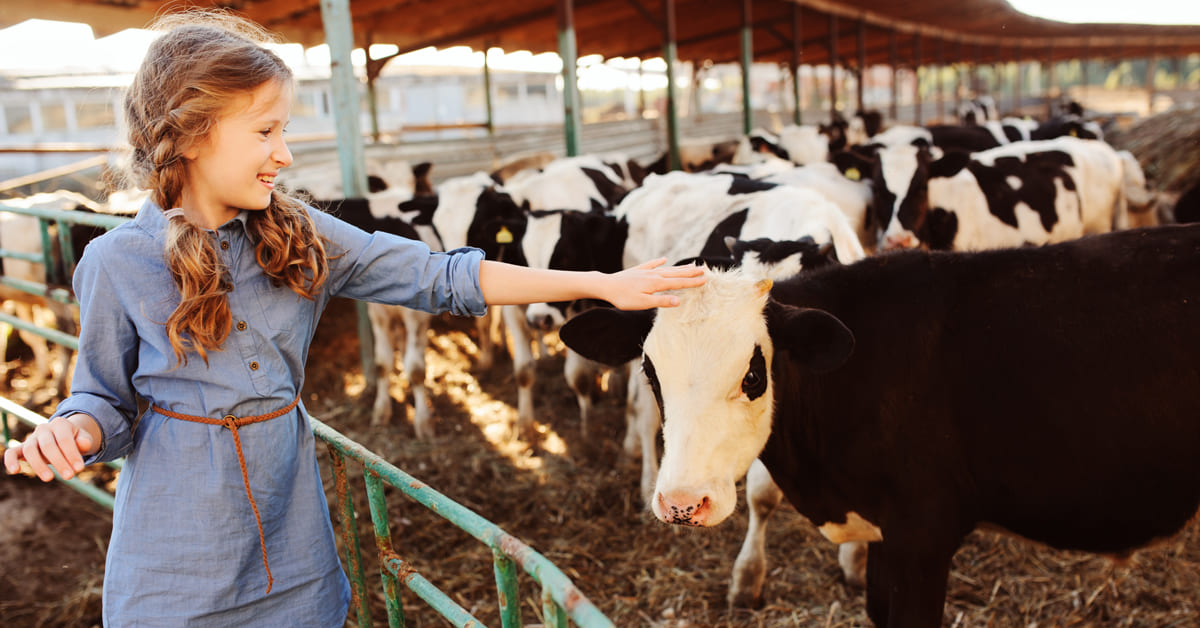 backwinkel-blog-tierschutz-in-der-schule
