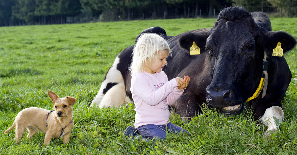 backwinkel-blog-haustiere-kiga