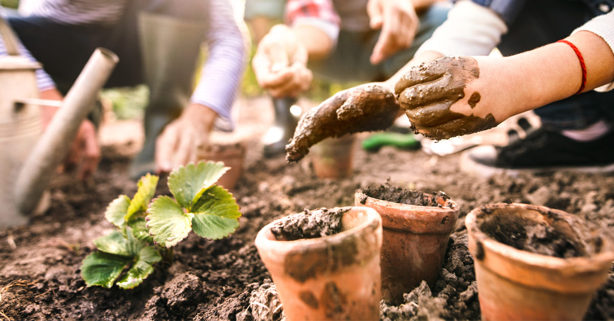 backwinkel-blog-ein-garten-fuer-den-kindergarten