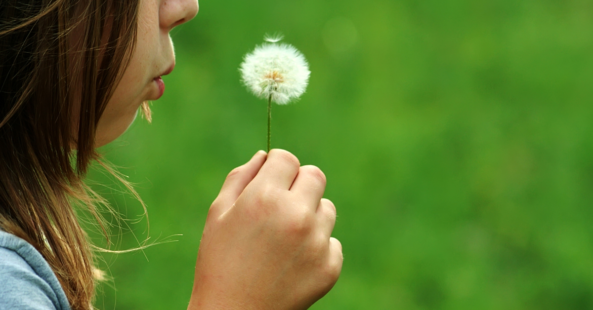 backwinkel-blog-lzartbeseitet-kiga-anteasern