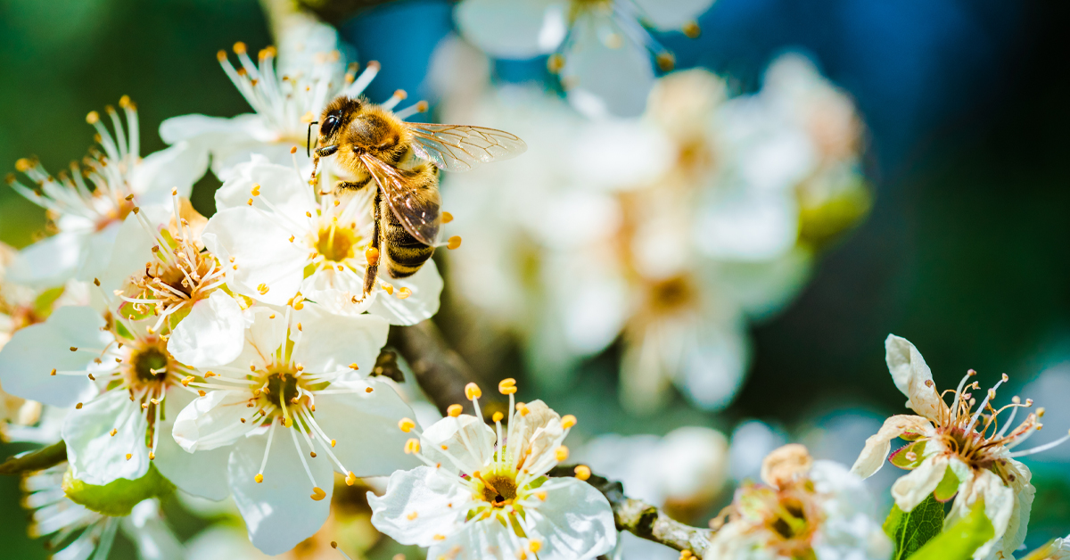 backwinkel-blog-klimabewusstsein_und_klimatisierung-schule-anteasern