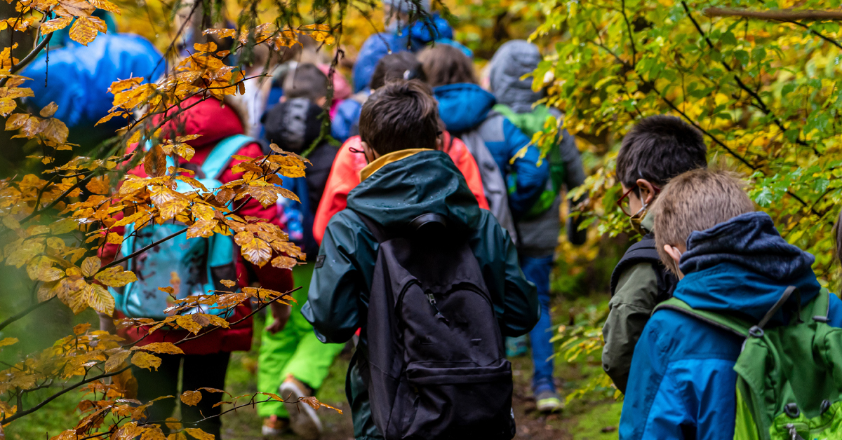 backwinkel-blog-Ausfluege_mit_kita_kindern-heroimage