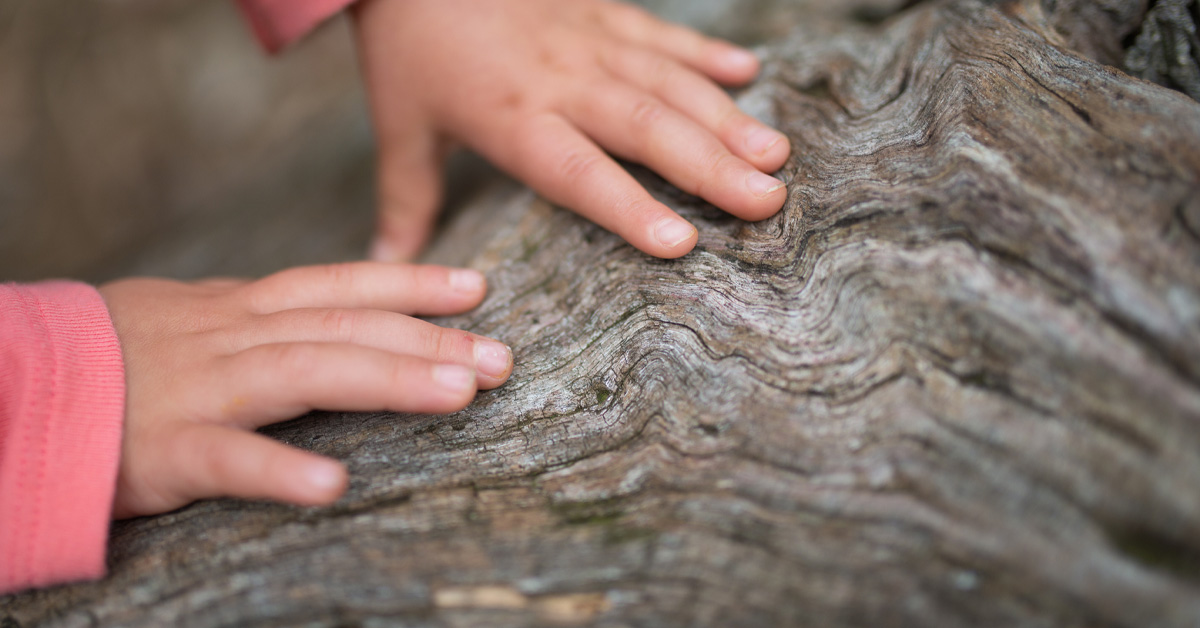 08_Kiga_Tastsinn_heroimage