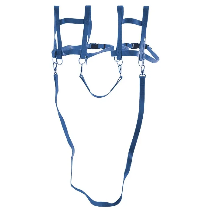 harness, Gurt, Befestigungsgurt, Körperharnisch, blau