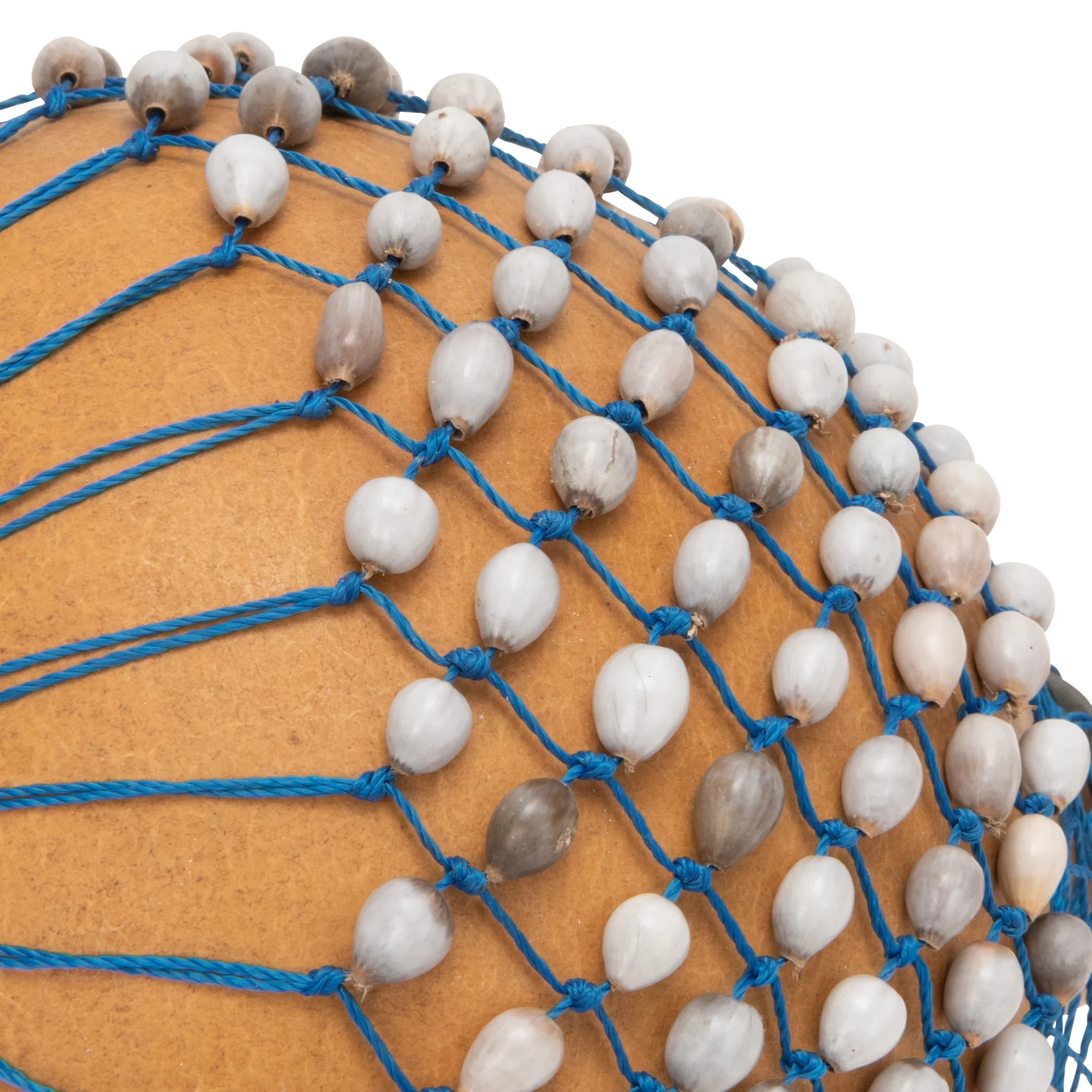 turtle, Stringennetz, Ball, Beachball, Netz