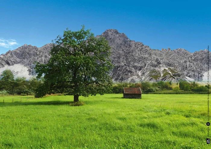 Landschaft, Baum, Gras, Hütte, Berge