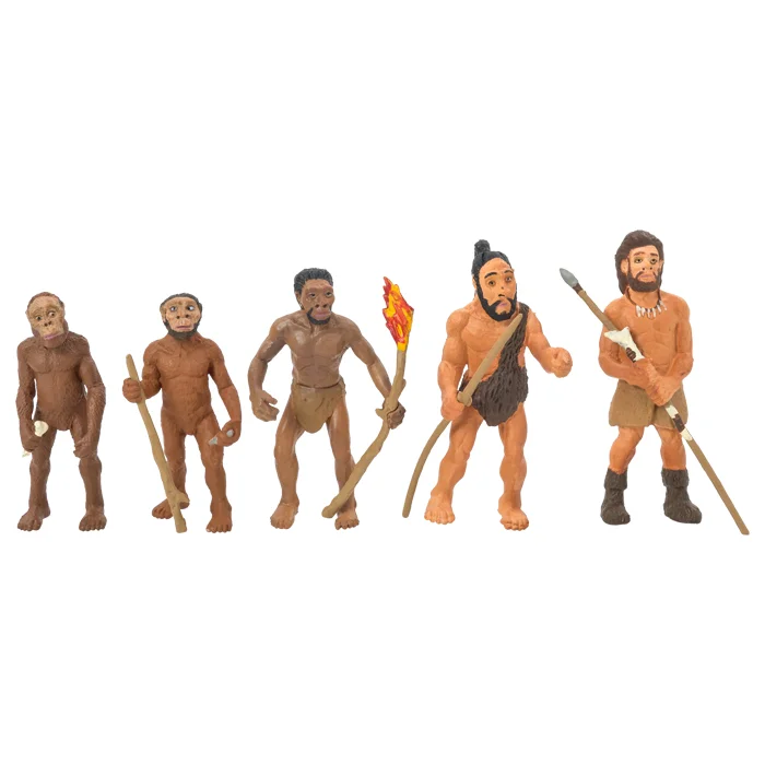 Steinzeit Evolution
