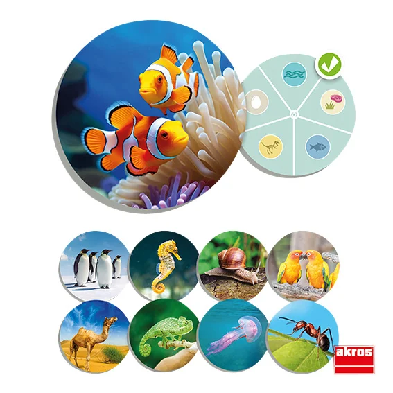 fisch, korallenriff, aquariendekoration, meerestiere, pflanzen