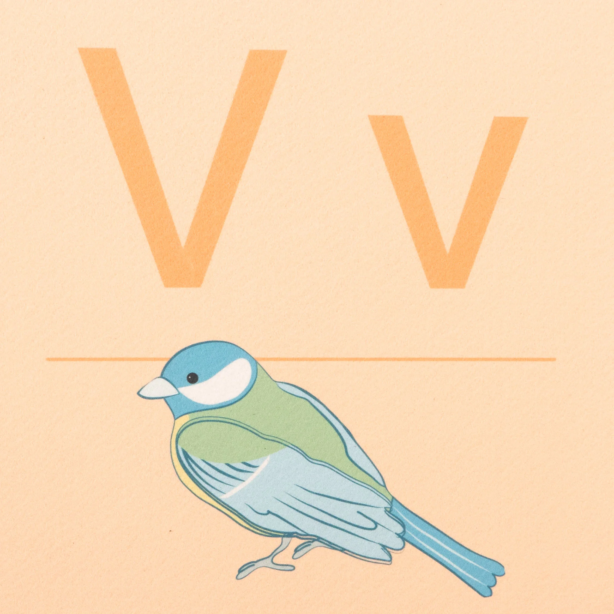 Vogel, Wildtier-Plakat, Vogel-Illustration, Pastellfarben, Kunstdruck