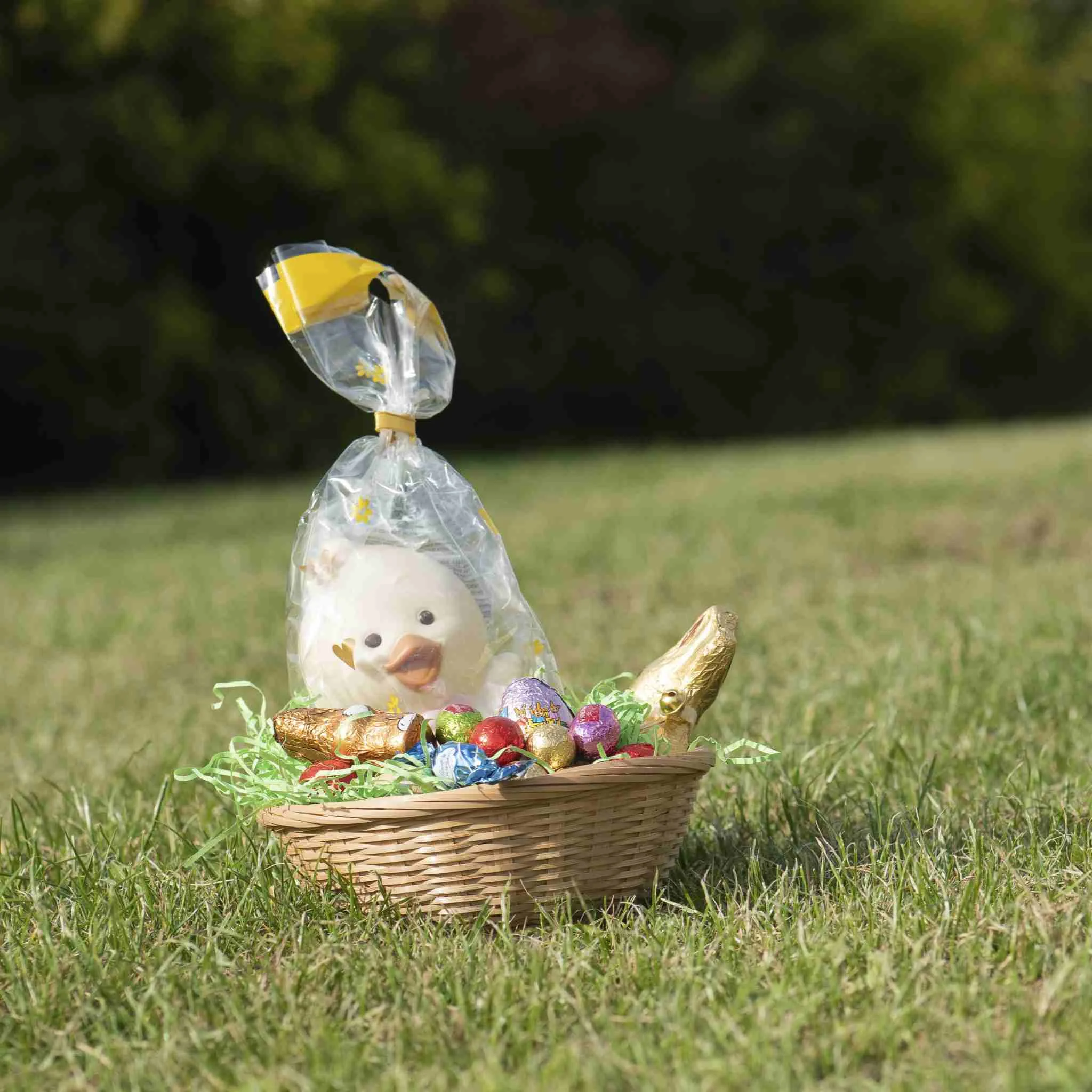 Ostern, Osterkorb, Schokoladenhasen, Eier, Präsentkorb