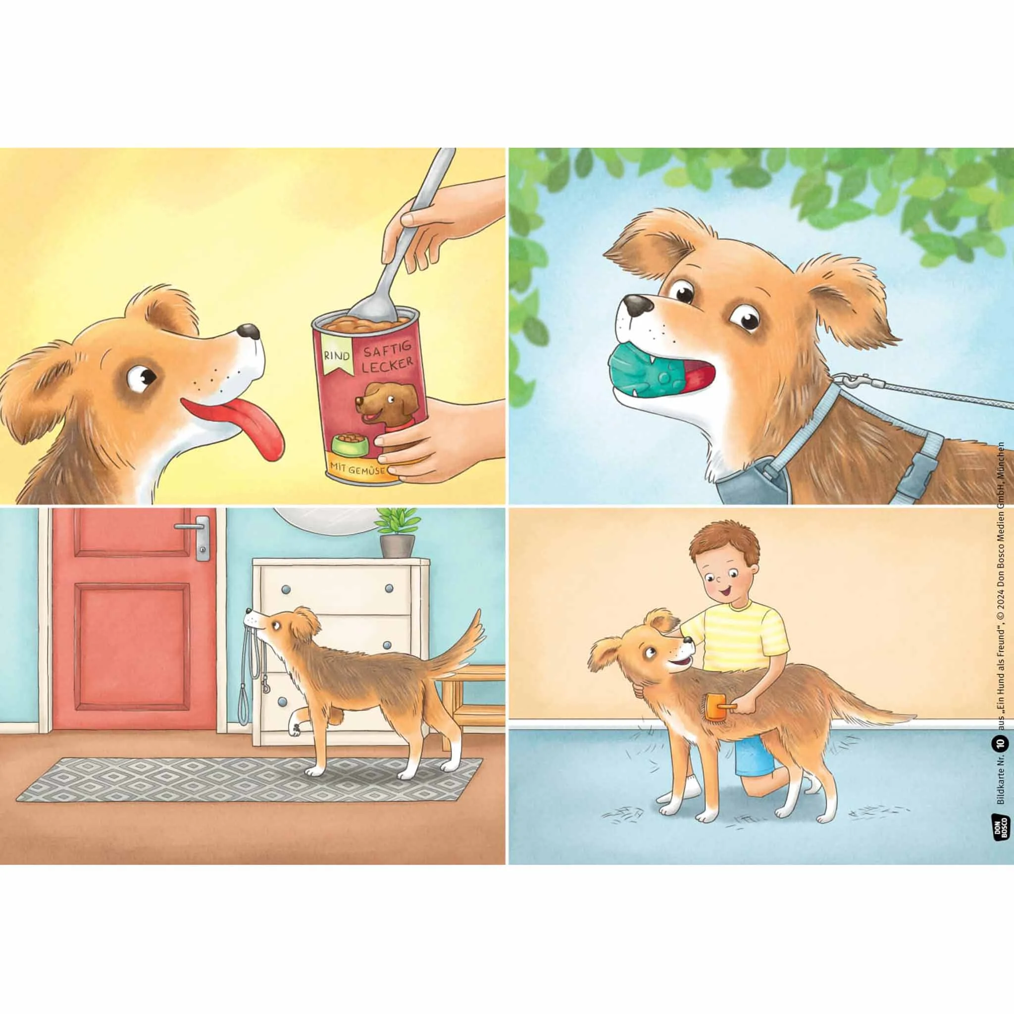 Hund, Hundefutter, Leckerli, Tierarzt, Gassi