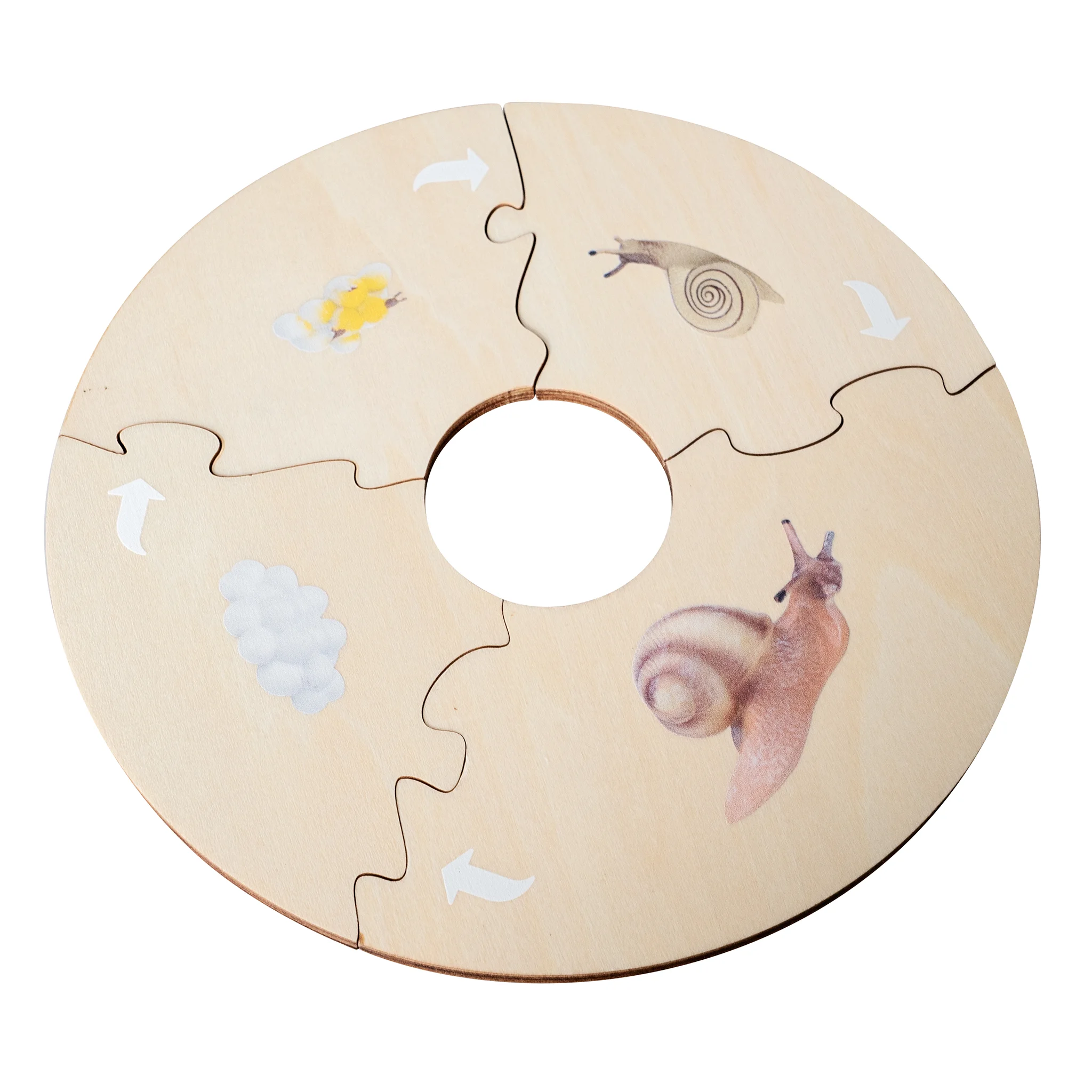 puzzle, Holz, Scheibe, Schnecke, Ring