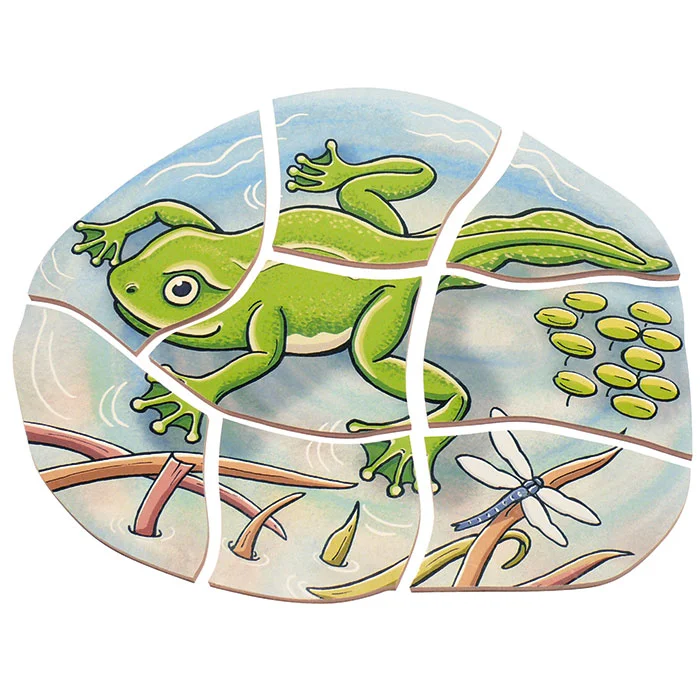 Frosch, Froschbild, Graffiti-Stil, Lebensraum, Klimmelei
