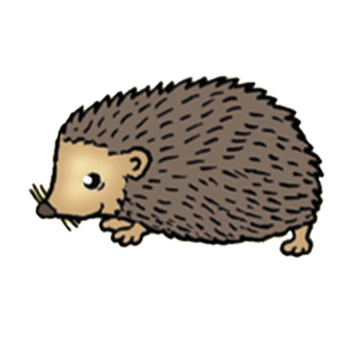 Igel, Cartoon, Stachelfell, Braun, Tierillustration