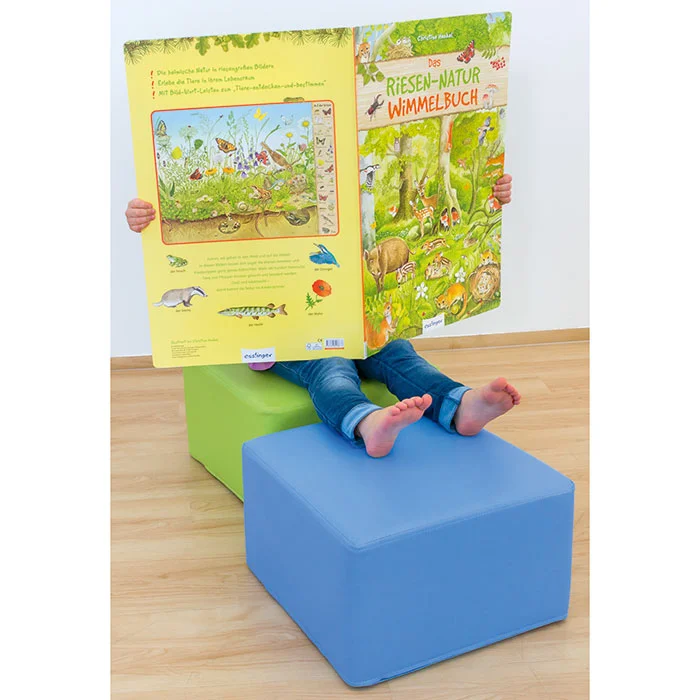 Kinderstuhl, Sitzwürfel, Bildbuch, Naturbuch, Pädagogisch engaging