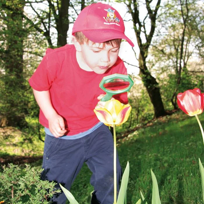 kind, rotes shirt, cap, gartenarbeit, tulpe