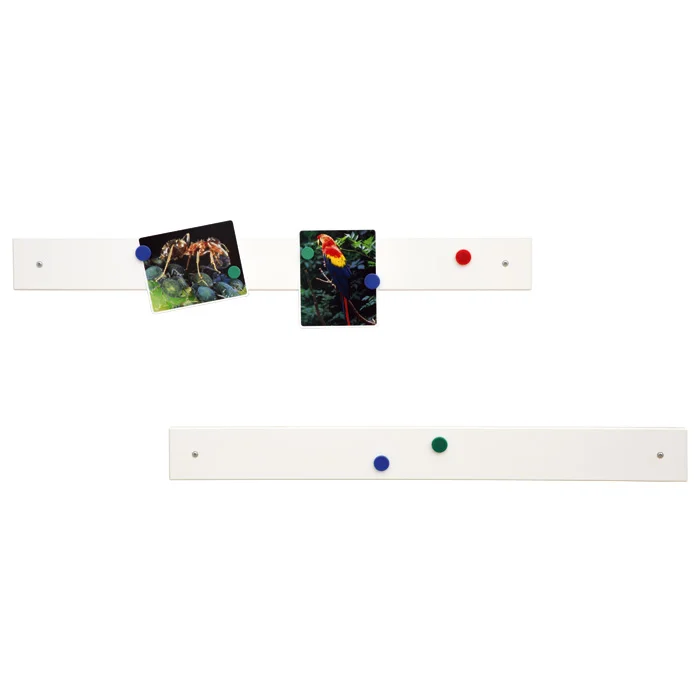 Korkwand, Bildhaken, Wandbrett, Magnetleisten, Fotoschnipsel