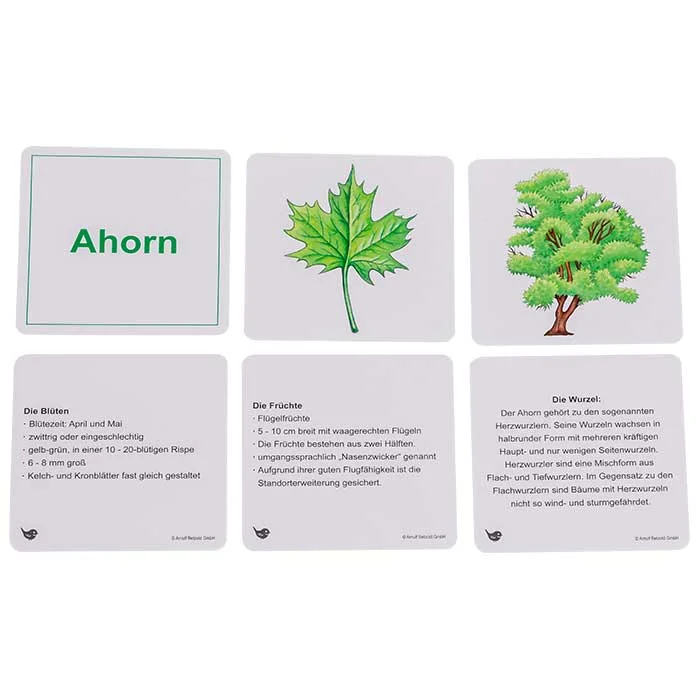 Ahorn, Blatt, Baum, Karten, Details
