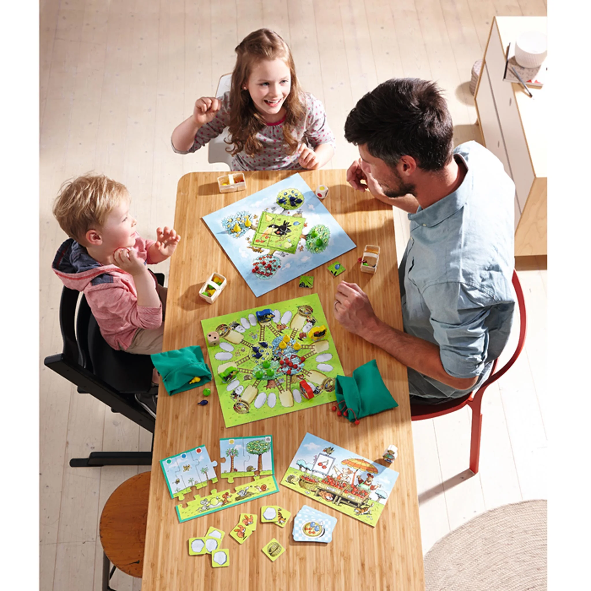 Brettspiel, Familienspiel, Mehrfachspiel, bunt, Karten–Brettspiel