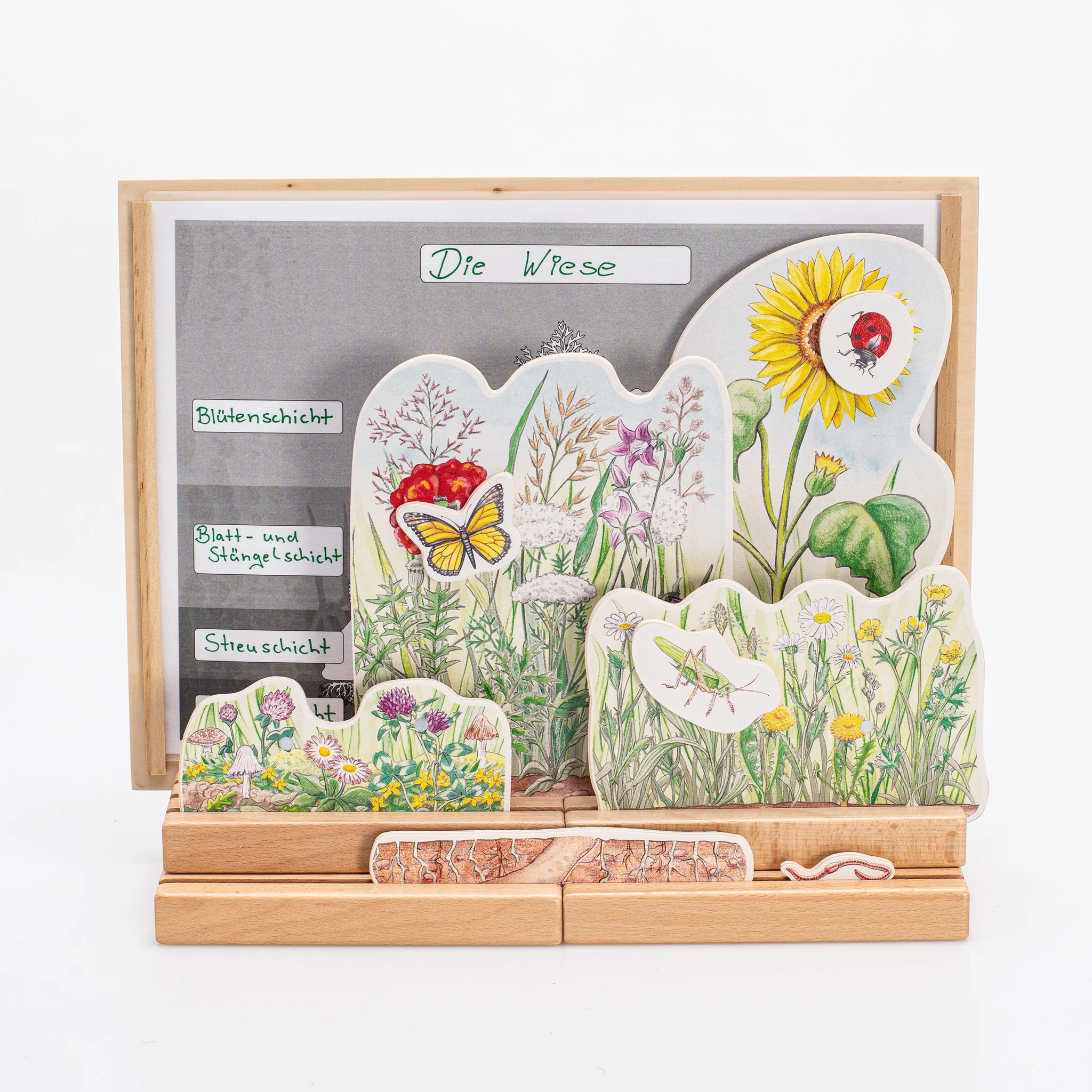 holzspiel, naturpuzzle, pflanzen, insekten, blumen