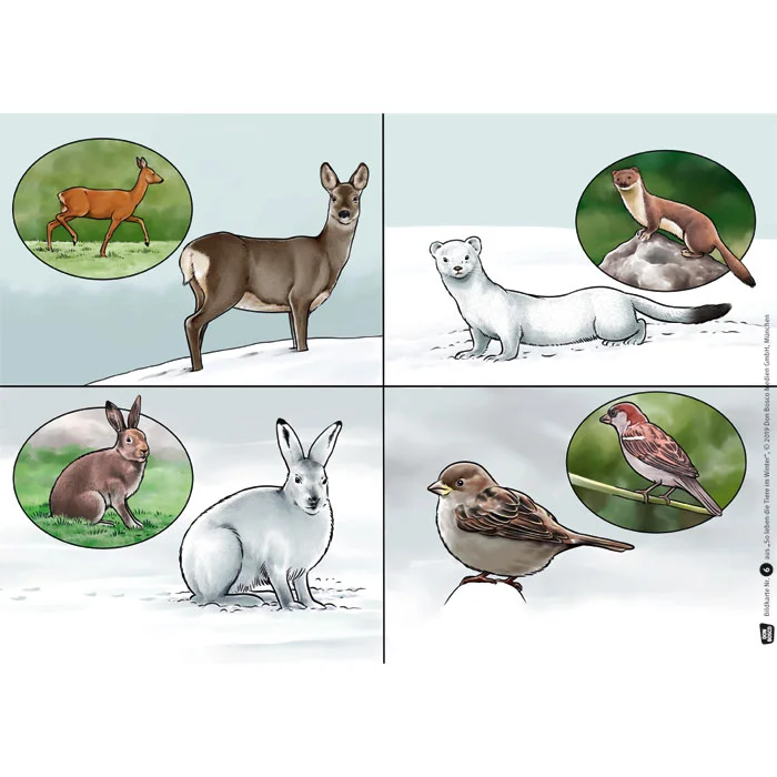 Reh, Hirsch, Kaninchen, Vogel, Schneelandschaft