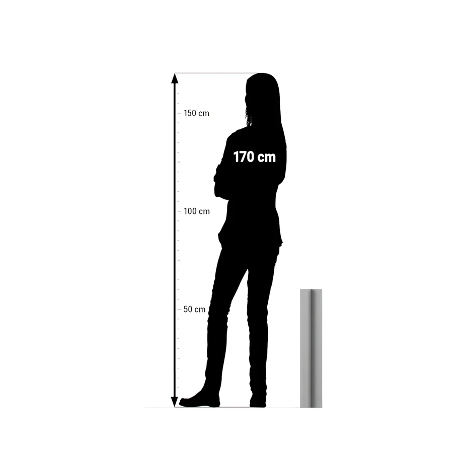 Silhouette, Menschliche Figur, Höhenmarkierung, Messdiagramm, stehende Person
