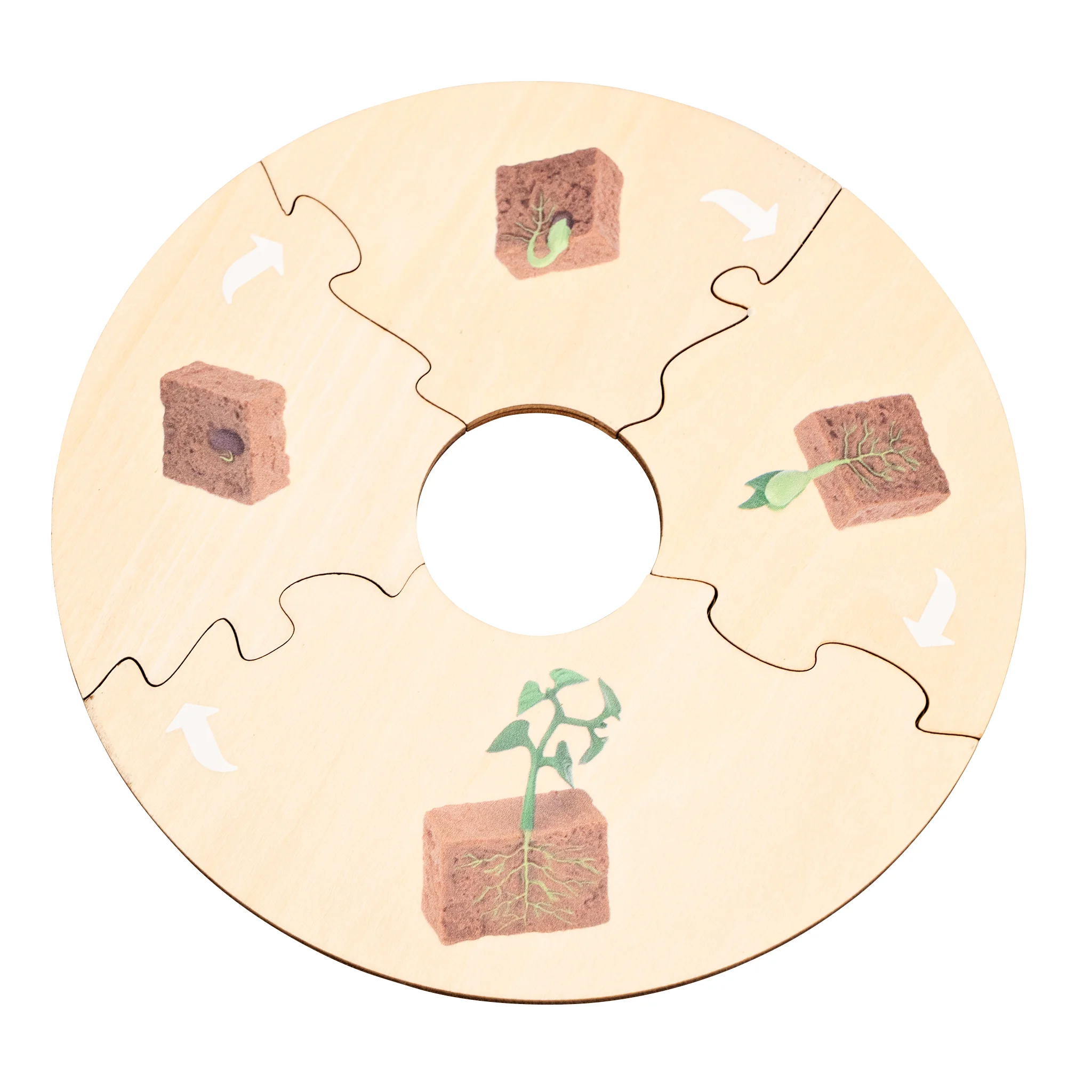puzzle, Holz, Pflanzenwachstum, Setzling, Puzzle-Scheibe