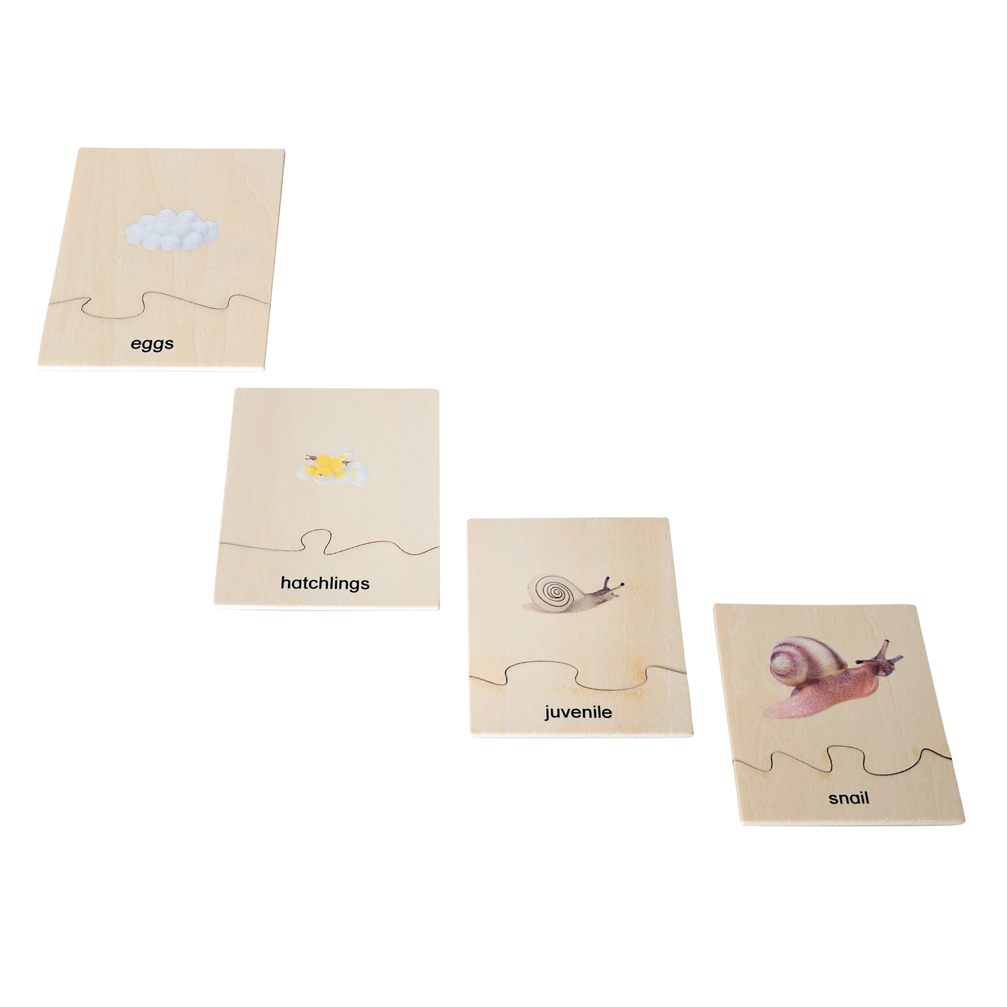 puzzle, holz, schnecke, eier, laichlinge