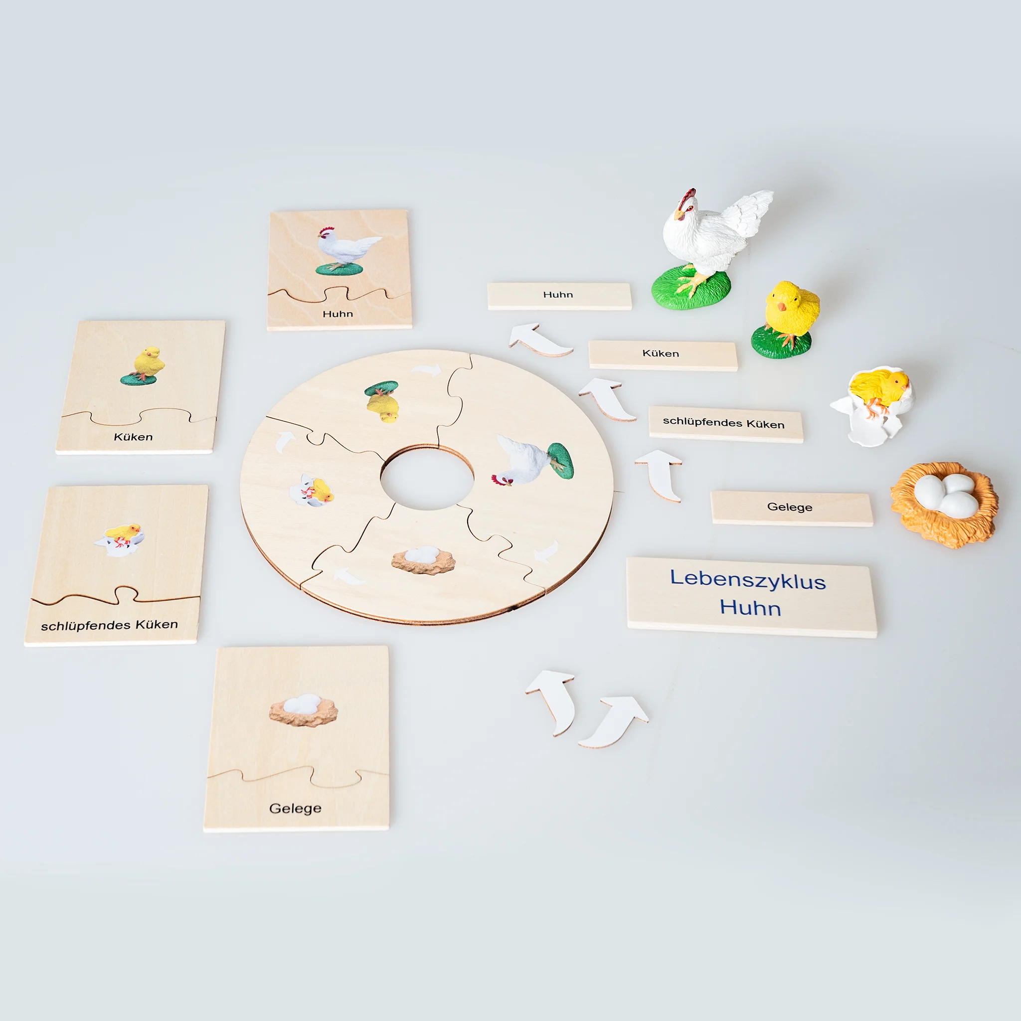 Holzpuzzle, Lebenszyklus, Huhn, Küken, Schlüpfendes Küken