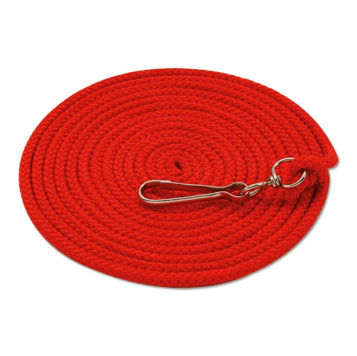 Lanyard, Schnur, Kabelhalter, Schlüsselband, Rot
