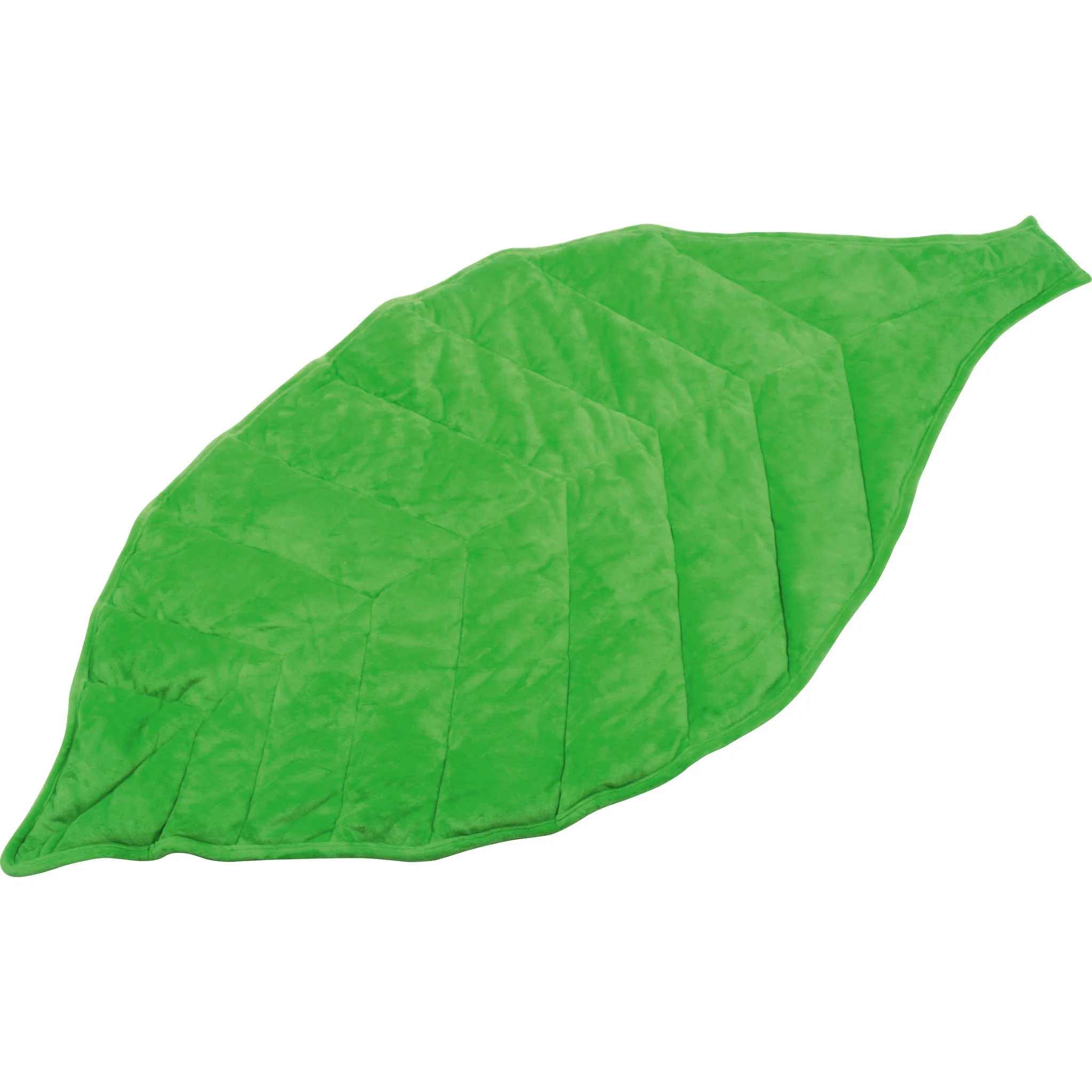 grün, Schutzhülle, decke, isolierte, kissenbezug