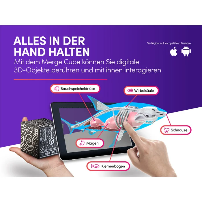 Tablet, 3D-Objekt, Hände, Animierte Anatomie, Silikon-Modell