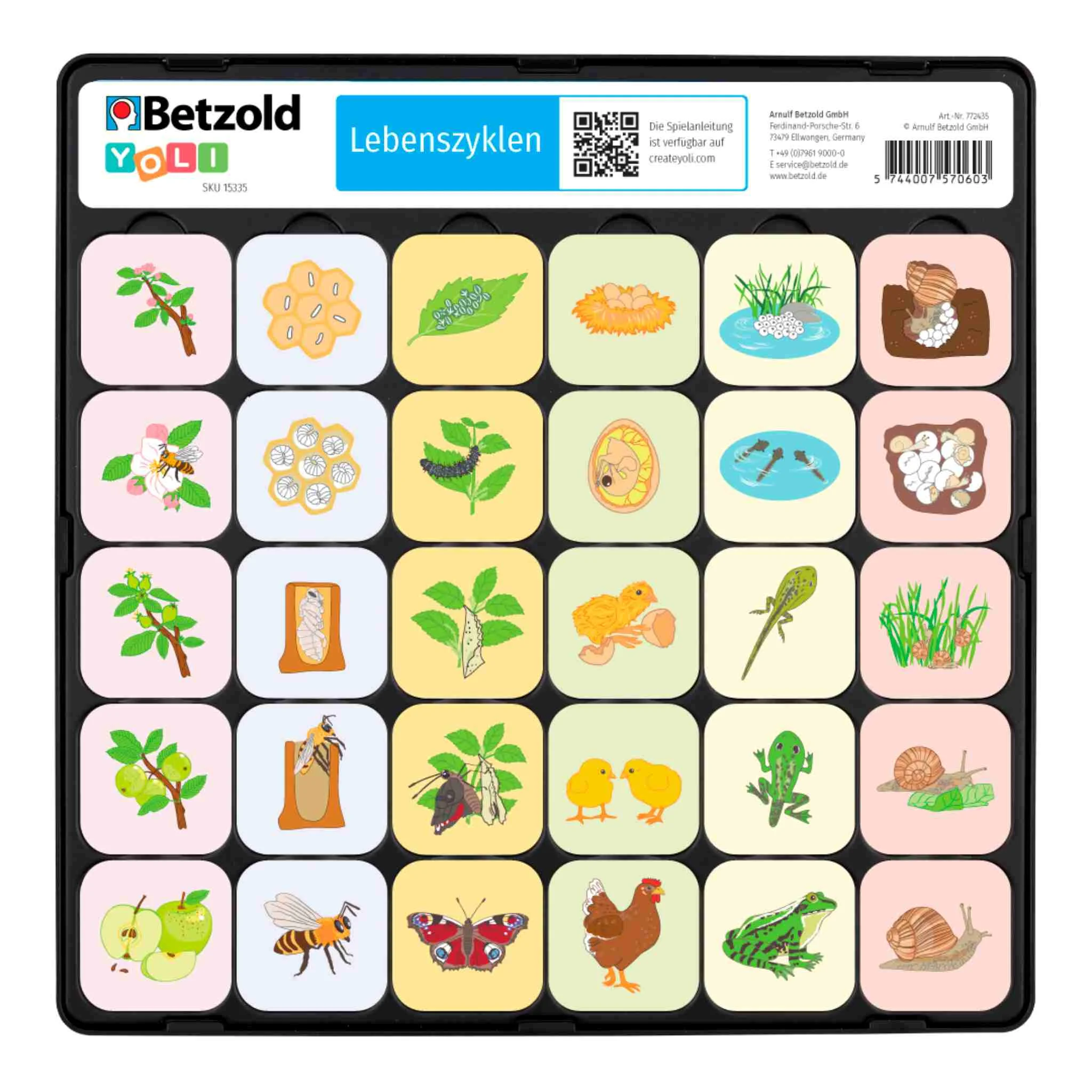 YOLI-Spielset Lebenszyklen