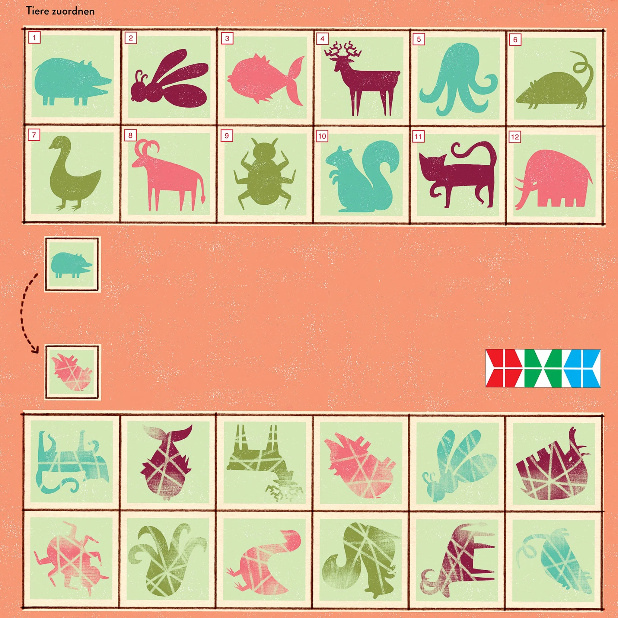 Schwein, Fisch, Hirsch, Oktopus, Katze