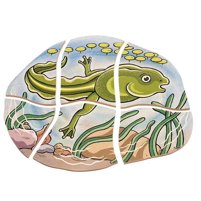 Frosch, Fisch, Unterwasser, Kunststoff, Tierisch