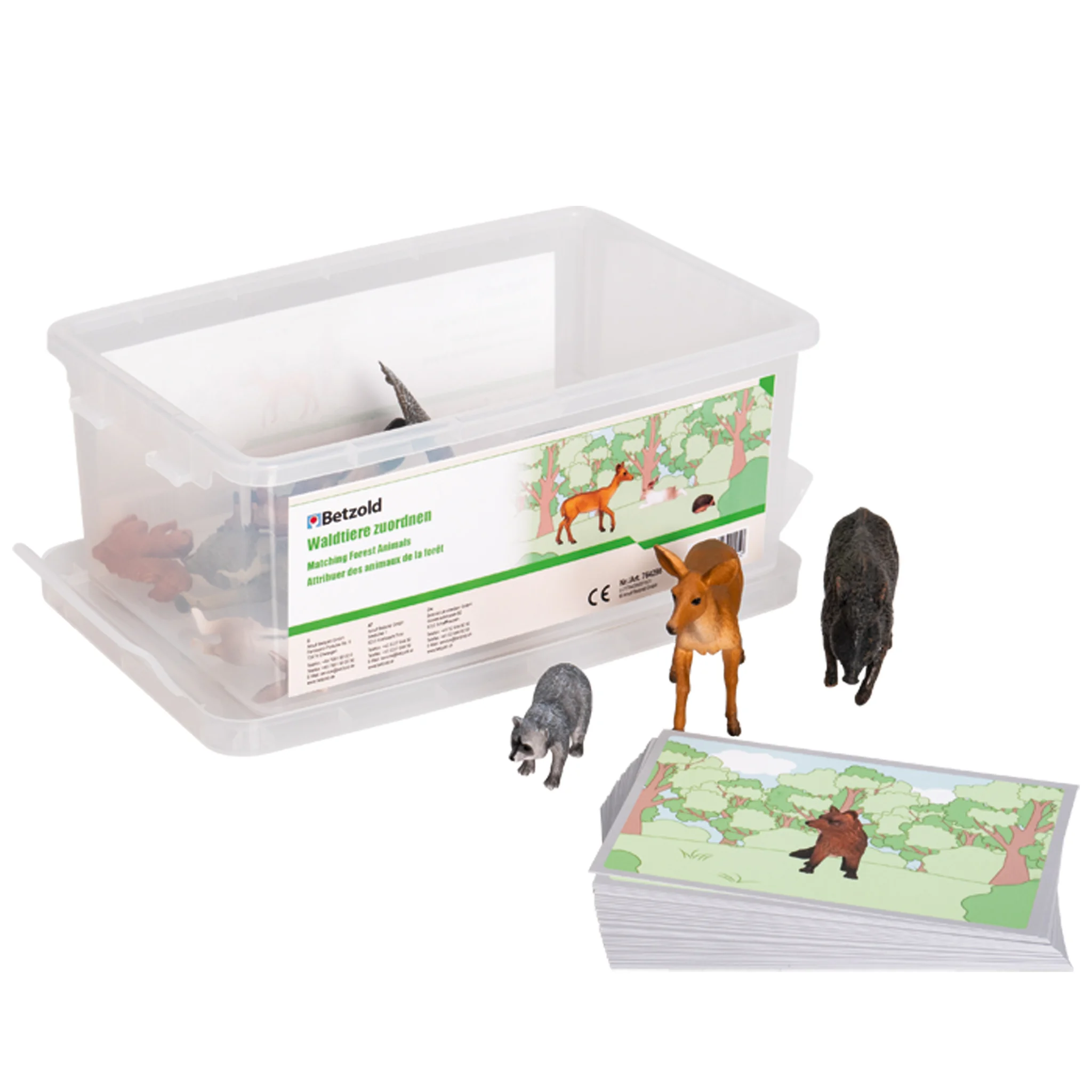 Tierwaldspielzeug, Tierfigur-Set, Lagerbox, Holzspielzeug?, Waldtiere-Karten