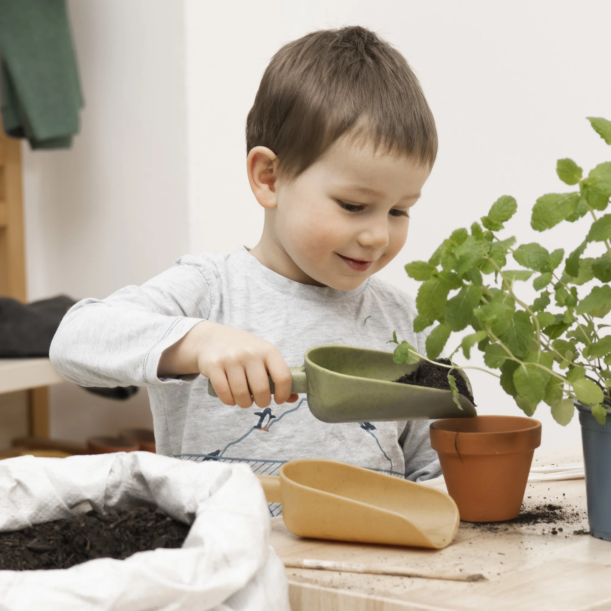 Kleinkind, Gartenpflege, Topfpflanze, Gießkanne, Kinderpflanzenpflege
