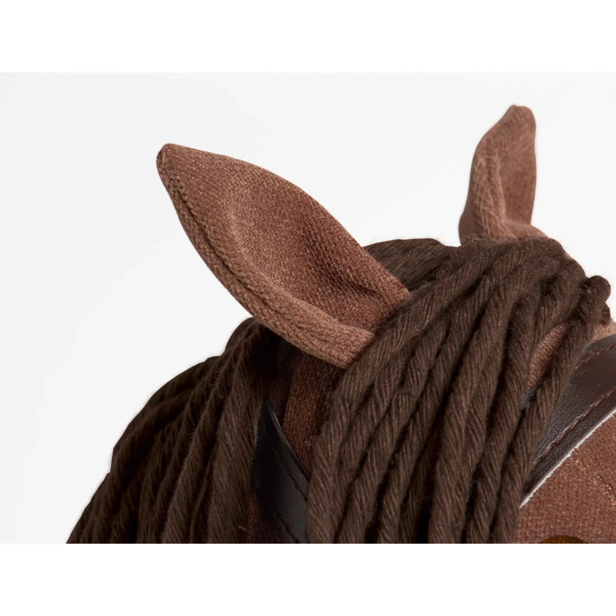 Pferd, Reiten, Zopf, braun, keine