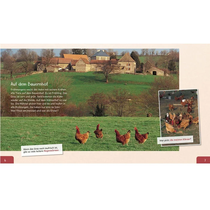 Hühner, Herde, Bauernhof, Garten, Hühnerstall?