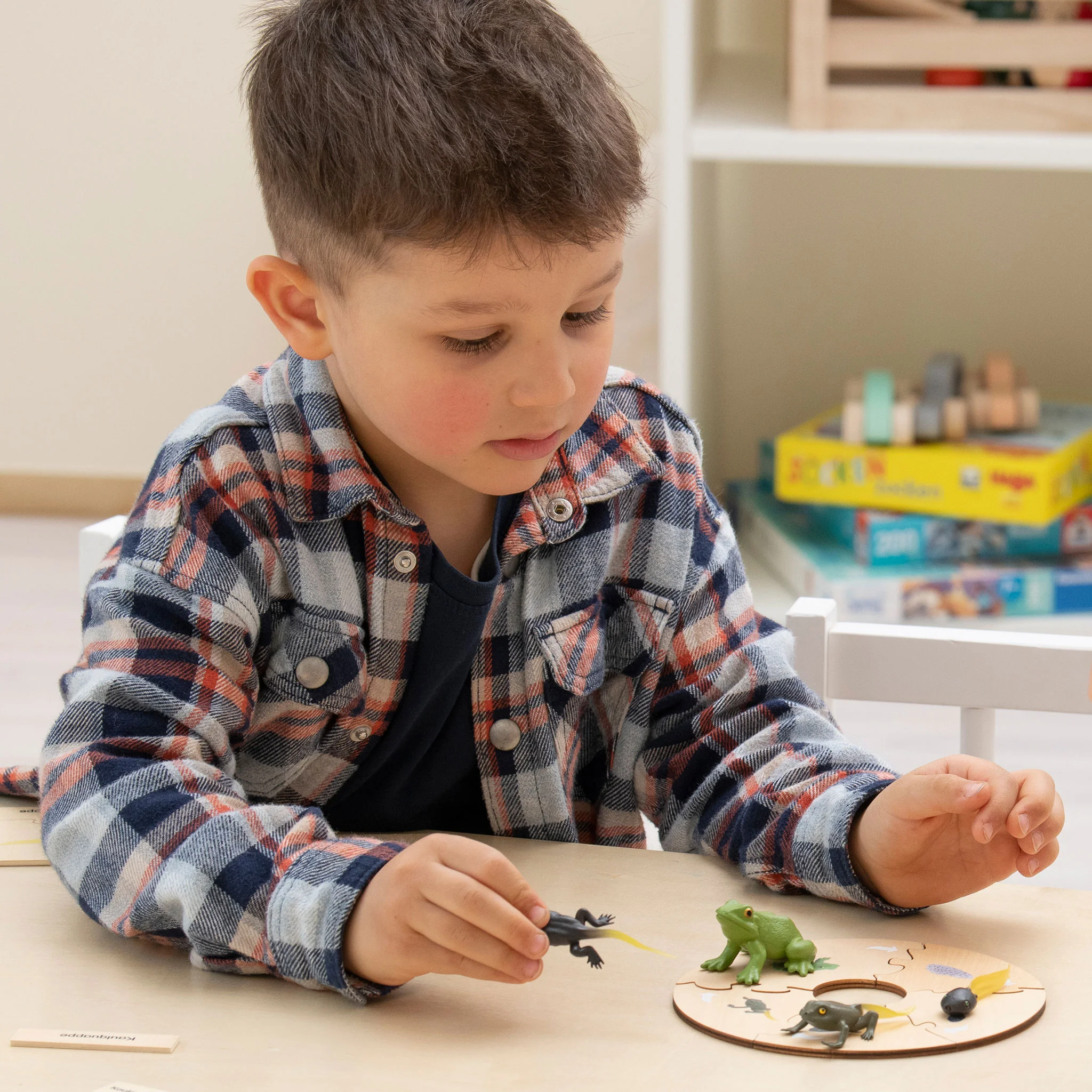 kinder, spiel, spielzeug, spiel-montage, diorama-zusammenbau
