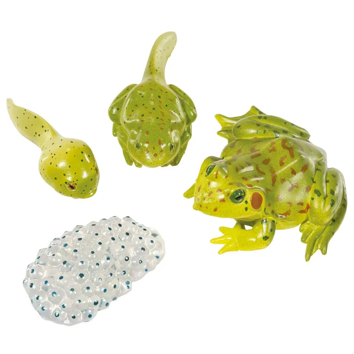 Froschfigur, grüner Frosch, Spielzeugset, Mini-Eier, verzierter Kunstgegenstand