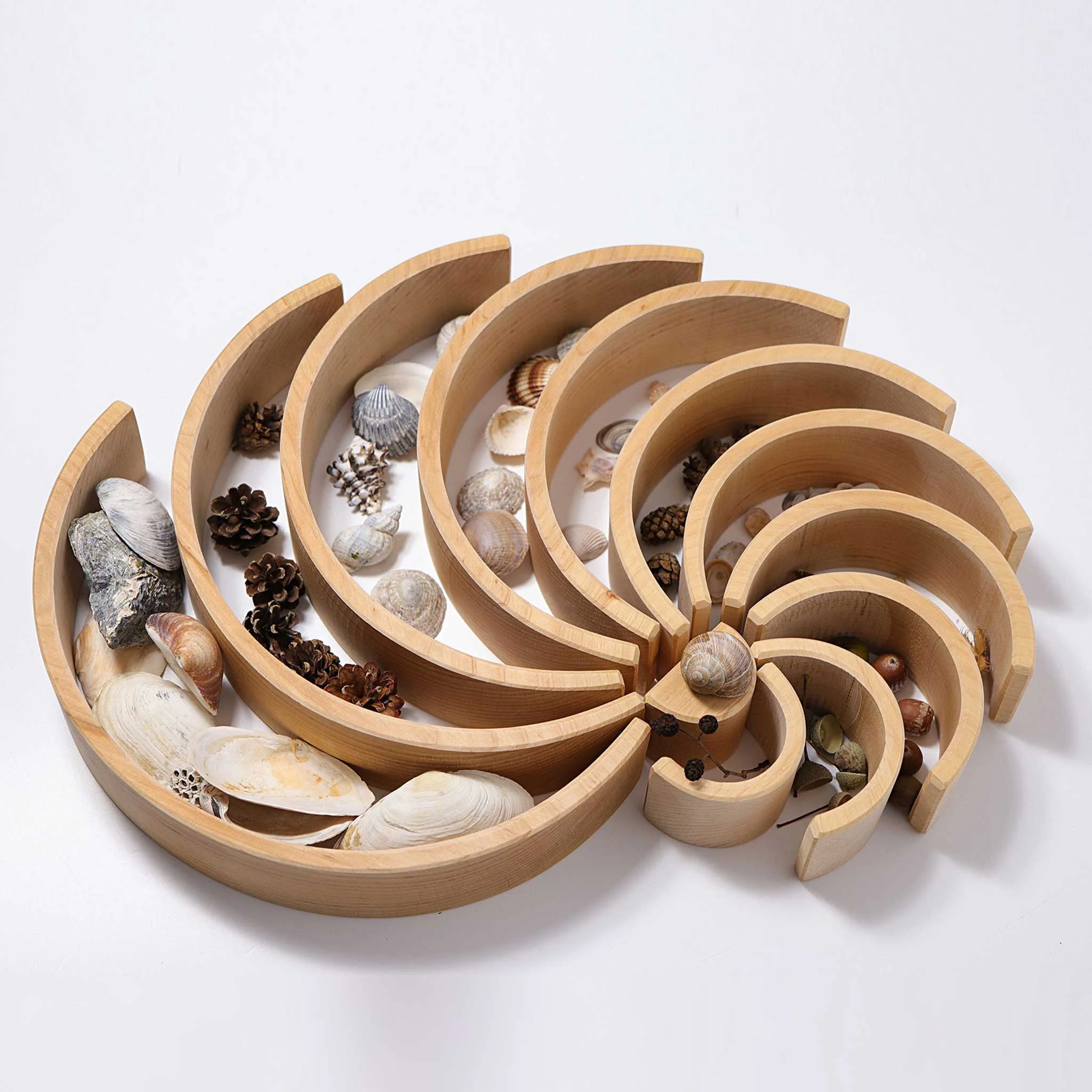 woodener Spiral, Muscheln, Muschellenkollektion, Dekotablett, konische Holzspirale