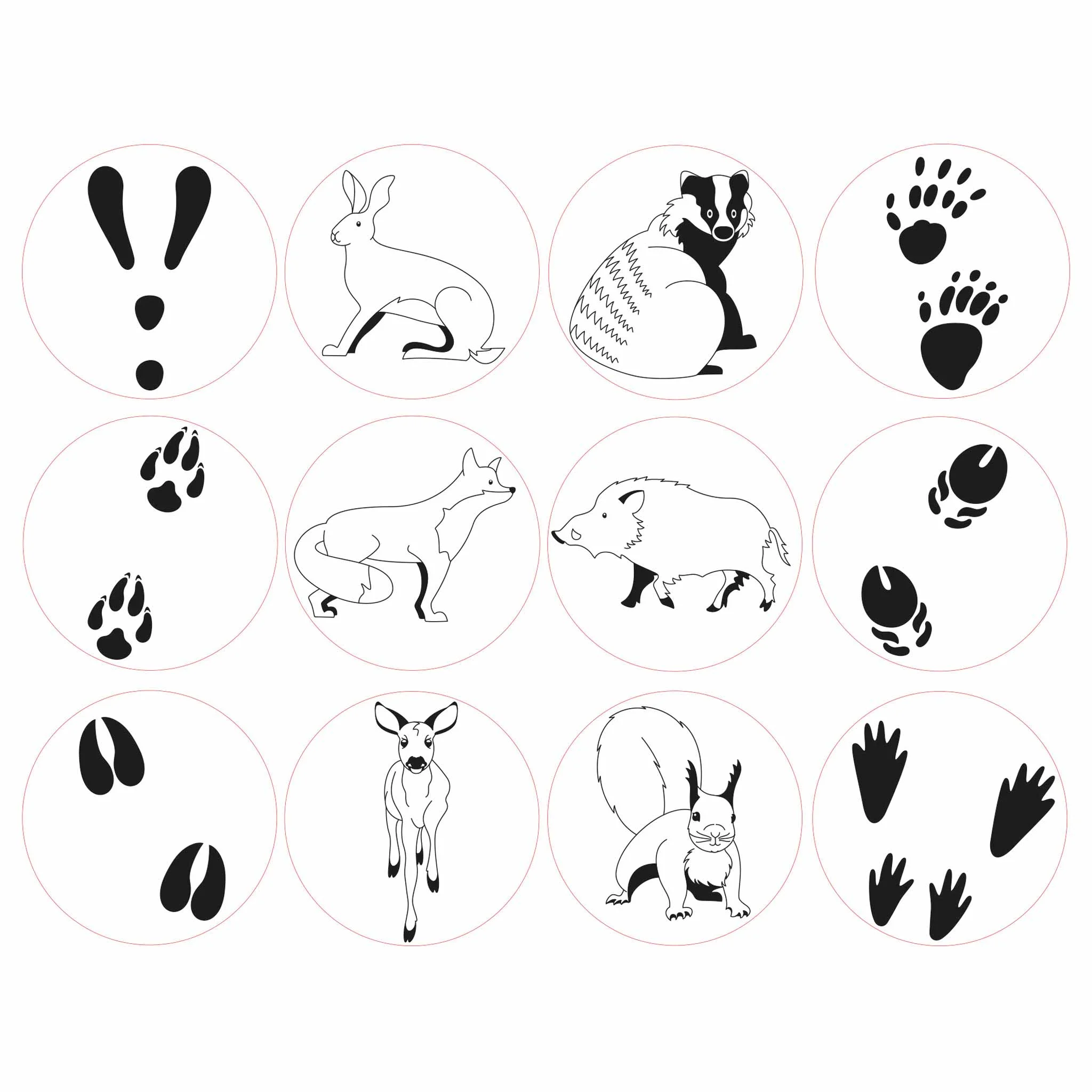 Pfotenabdrücke, Hase, Dachs, Fuchs, Waschbger?