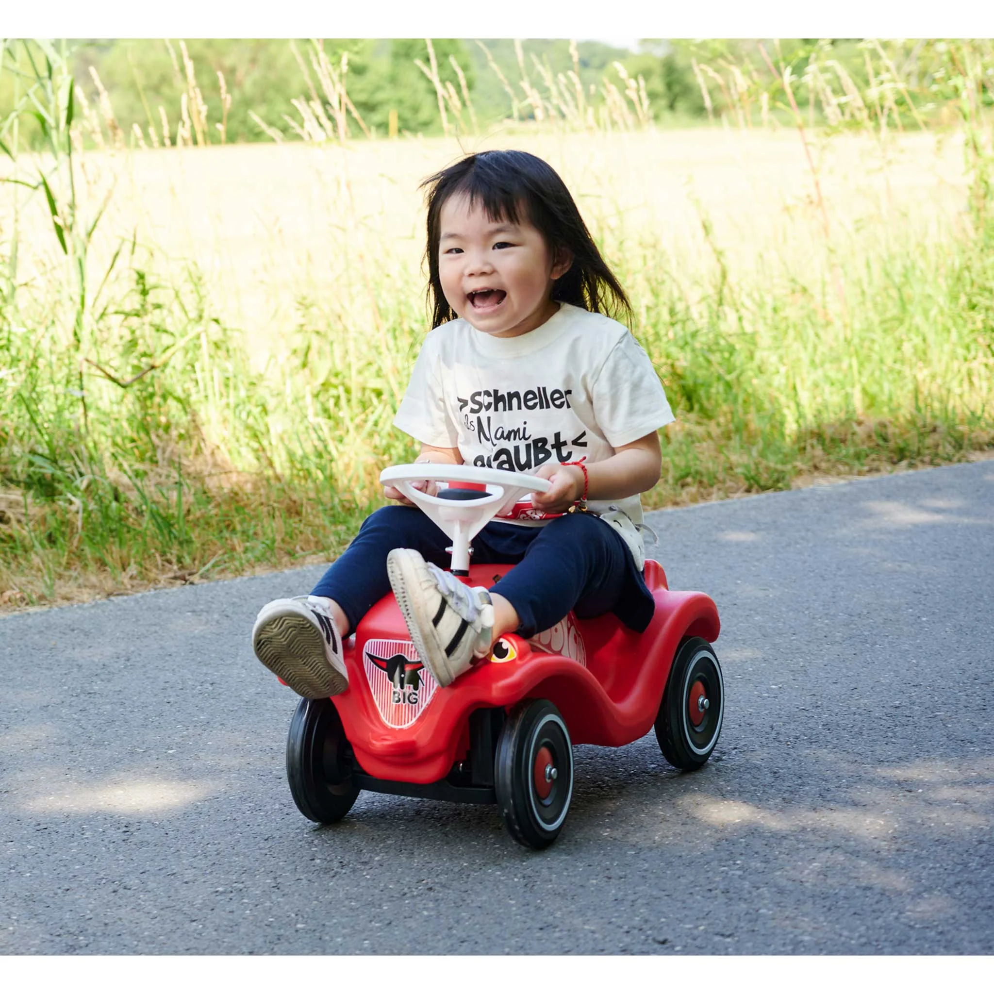 Kinderwagen, Dreirad, Rot, Gurt, Straßenfahrt