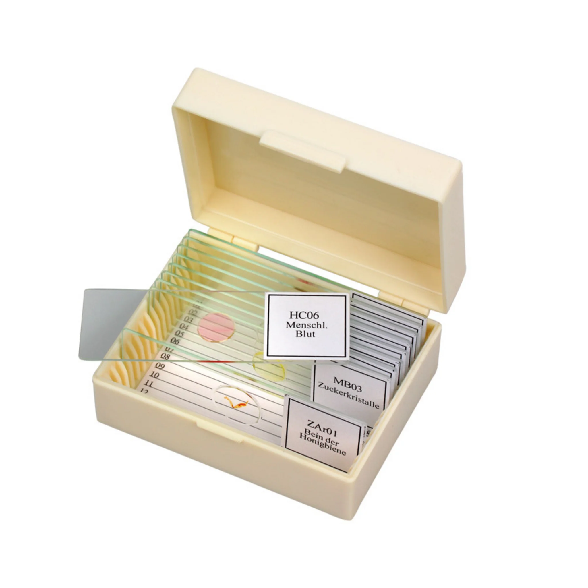 Präparate-Set