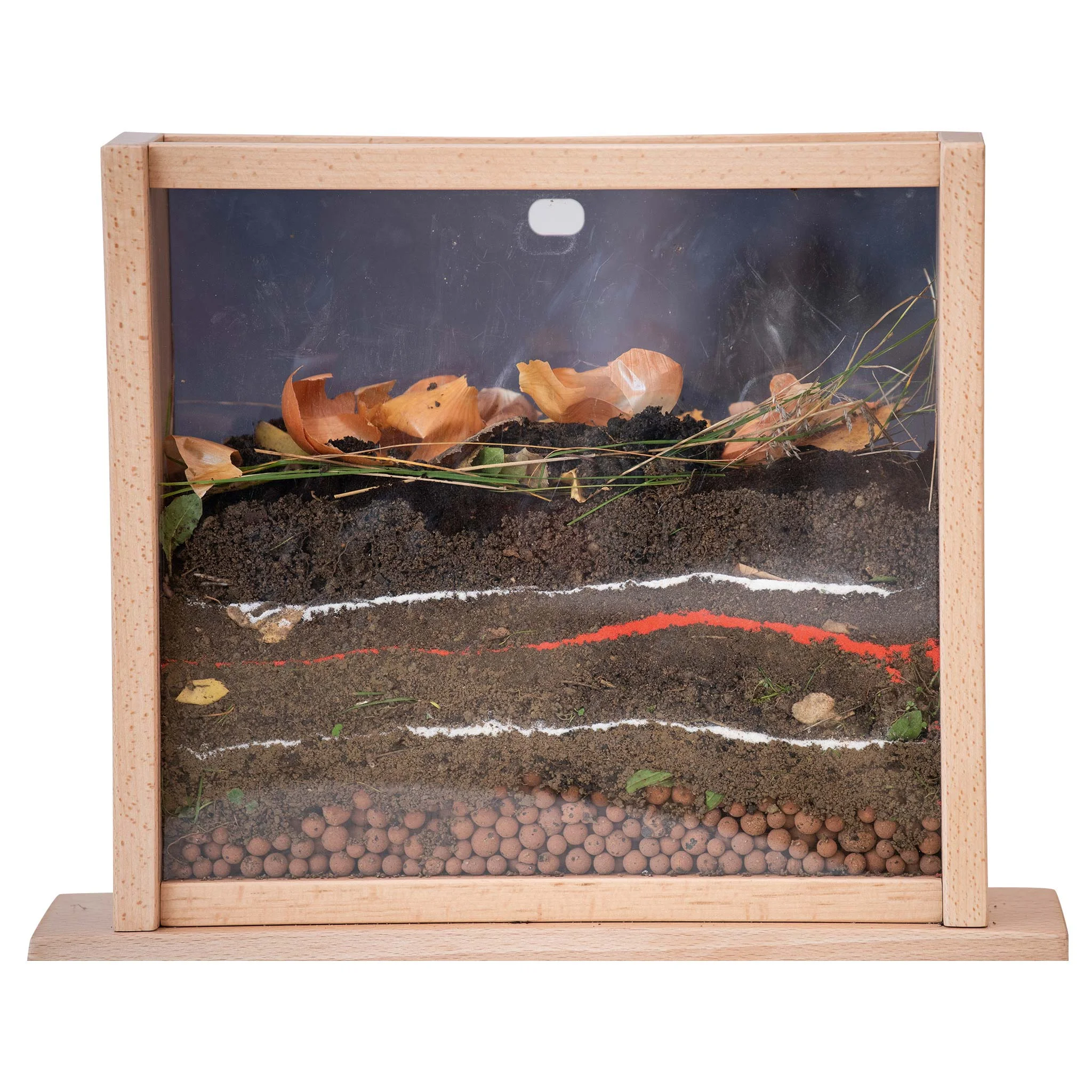 terrarium, insektenterrarium, mini-landschaft, bodenlayer, glas-front